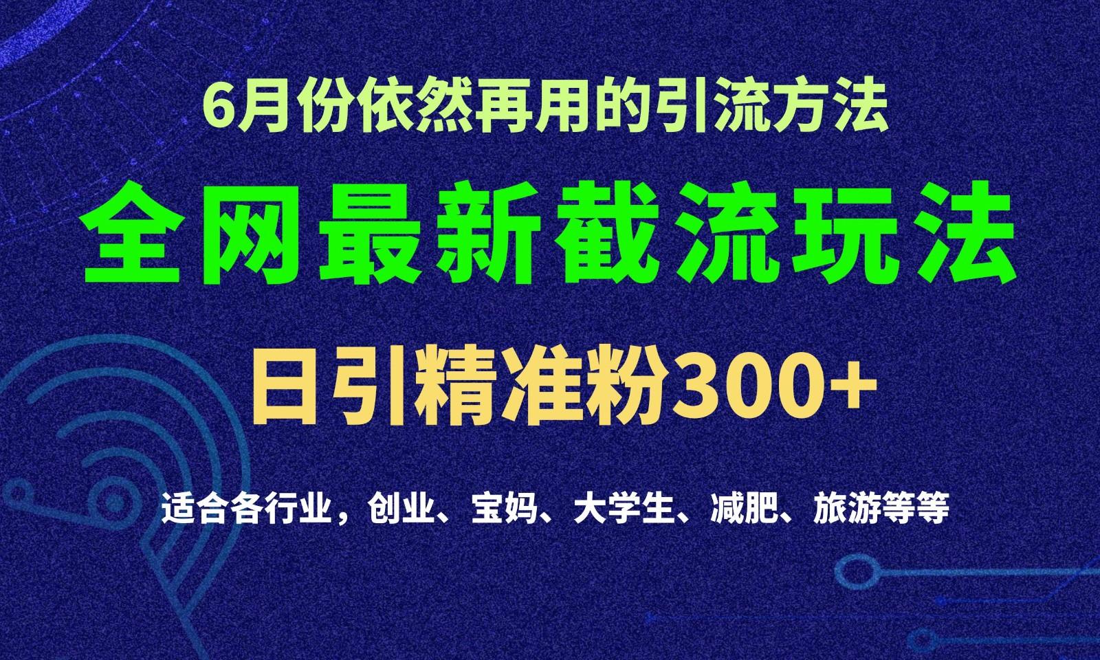 2024全网最新截留玩法，每日引流突破300+-皮皮网创