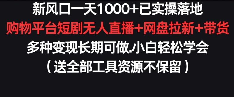 新风口一天1000+已实操落地购物平台短剧无人直播+网盘拉新+带货多种变现长期可做【揭秘】-皮皮网创