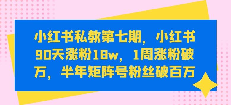 小红书私教第七期，小红书90天涨粉18w，1周涨粉破万，半年矩阵号粉丝破百万-皮皮网创