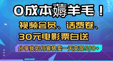 0成本薅羊毛!视频会员、话费卷、30元电影票白送，分享我如何靠转卖一天变现5张+【揭秘】-皮皮网创
