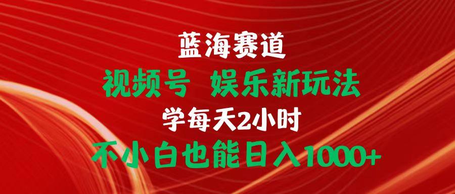 蓝海赛道视频号 娱乐新玩法每天2小时小白也能日入1000+-皮皮网创