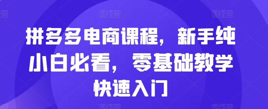 拼多多电商课程，新手纯小白必看，零基础教学快速入门-皮皮网创