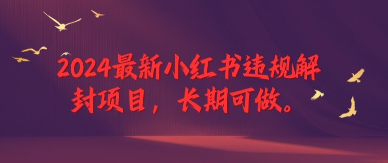 2024最新小红书违规解封项目，长期可做，一个可以做到退休的项目【揭秘】-皮皮网创