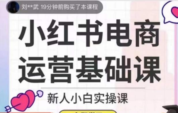 小红书电商运营基础课，新人小白实操课-皮皮网创