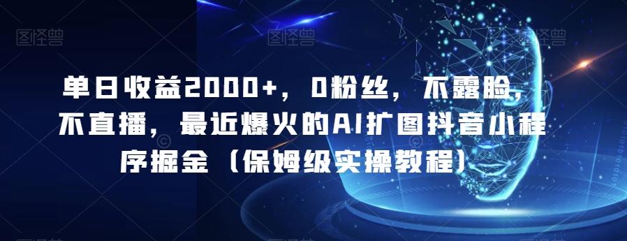 单日收益2000+，0粉丝，不露脸，不直播，最近爆火的AI扩图抖音小程序掘金（保姆级实操教程）-皮皮网创