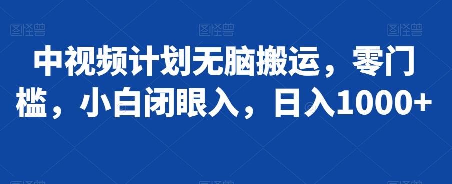 中视频计划无脑搬运，零门槛，小白闭眼入，日入1000+-皮皮网创