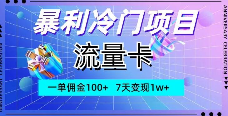暴利冷门项目，流量卡，一单佣金100+，7天变现1w+-皮皮网创