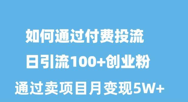 如何通过付费投流日引流100+创业粉月变现5W+-皮皮网创