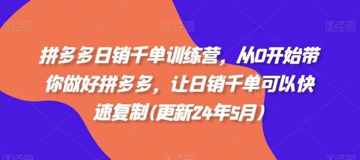 拼多多日销千单训练营，从0开始带你做好拼多多，让日销千单可以快速复制(更新24年5月)-皮皮网创
