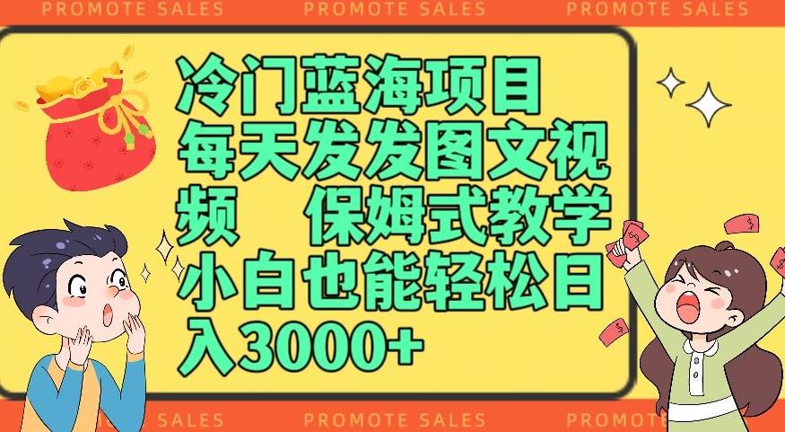冷门蓝海项目，每天发发图文视频，保姆式教学，小白也能轻松日入3000+-皮皮网创