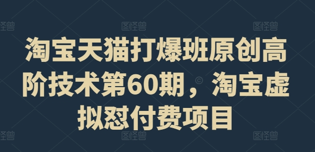 淘宝天猫打爆班原创高阶技术第60期，淘宝虚拟怼付费项目-皮皮网创