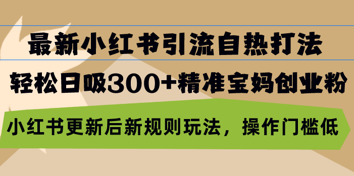 最新小红书引流自热打法，轻松日吸300+精准宝妈创业粉，小红书更新后新…-皮皮网创