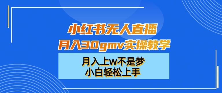 小红书无人直播月入30gmv实操教学，月入上w不是梦，小白轻松上手【揭秘】-皮皮网创