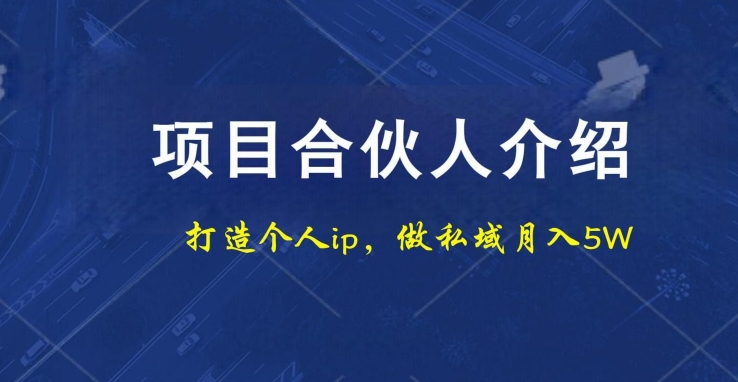项目合伙人项目，打造个人IP，做私域月入5W，小白勿扰-皮皮网创