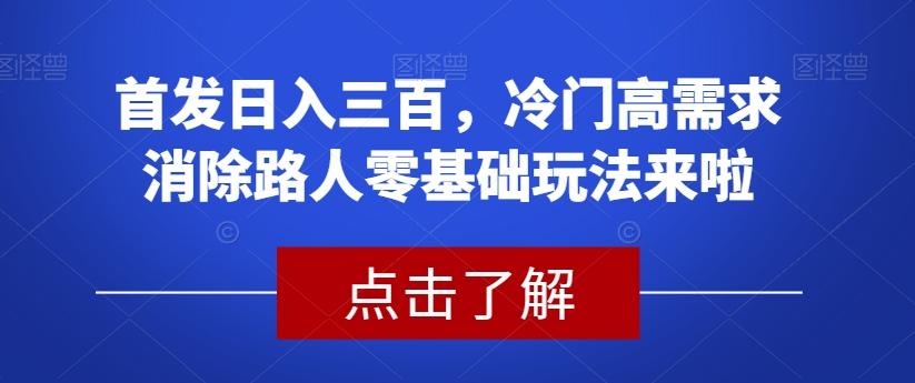 首发日入三百，冷门高需求消除路人零基础玩法来啦【揭秘】-皮皮网创