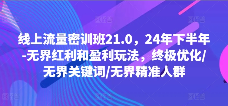 线上流量密训班21.0，24年下半年-无界红利和盈利玩法，终极优化/无界关键词/无界精准人群-皮皮网创