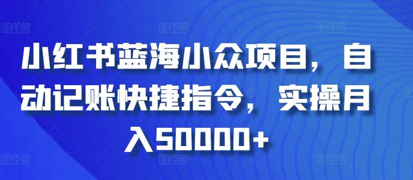 小红书蓝海小众项目，自动记账快捷指令，实操月入50000+【揭秘】-皮皮网创