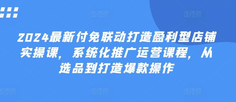 2024最新付免联动打造盈利型店铺实操课，​系统化推广运营课程，从选品到打造爆款操作-皮皮网创
