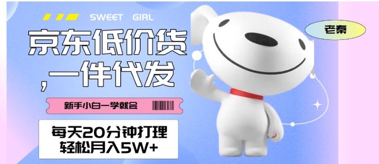 每天20分钟打理京东低价货，一件代发-轻松月入5W＋-皮皮网创