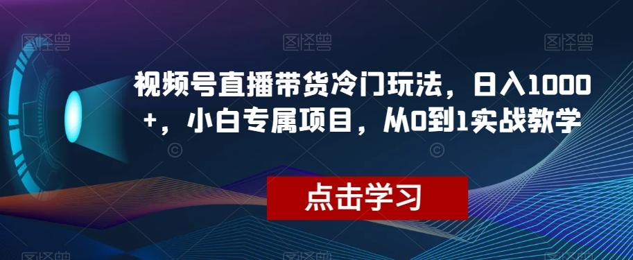 视频号直播带货冷门玩法，日入1000+，小白专属项目，从0到1实战教学【揭秘】-皮皮网创