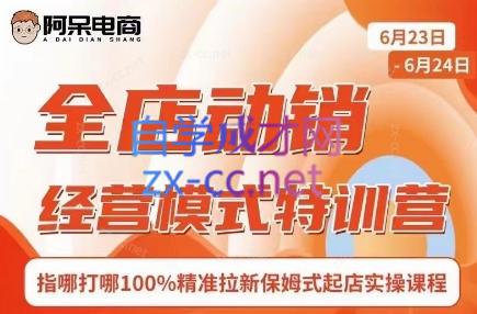 阿呆电商·全店动销经营模式特训营(线下录音+思维导图)-皮皮网创