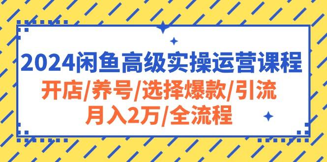 2024闲鱼高级实操运营课程：开店/养号/选择爆款/引流/月入2万/全流程-皮皮网创