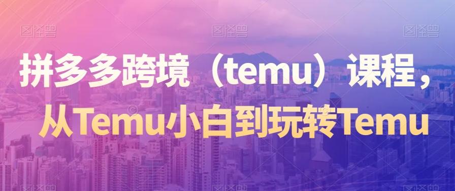 拼多多跨境（temu）课程，从Temu小白到玩转Temu-皮皮网创