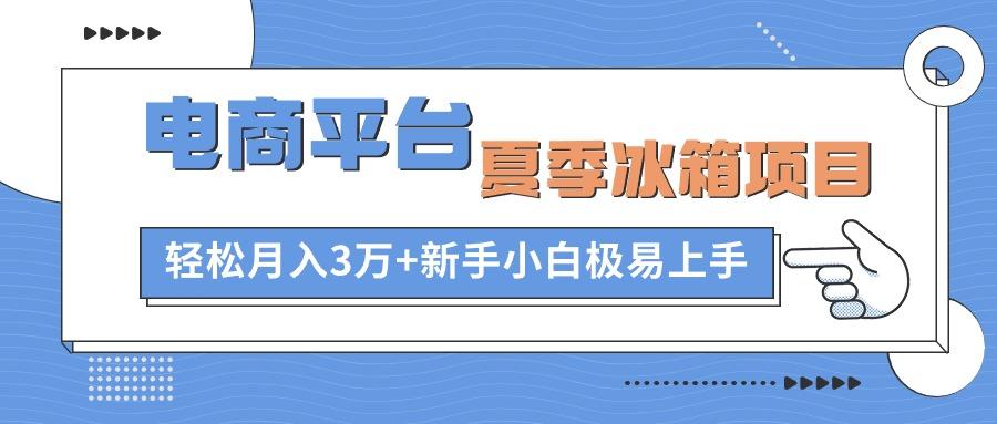 电商平台夏季冰箱项目，轻松月入3万+，新手小白极易上手-皮皮网创