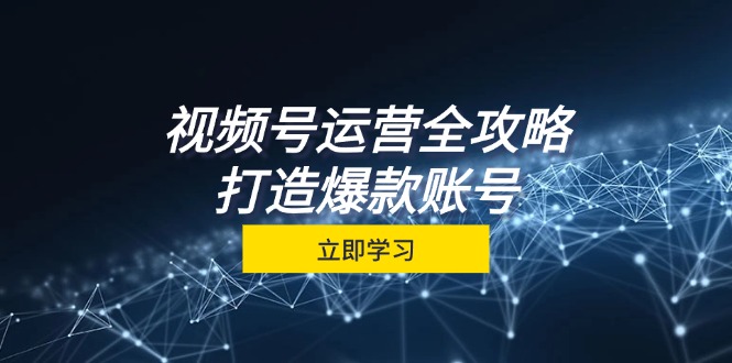 视频号运营全攻略，从定位到成交一站式学习，视频号核心秘诀，打造爆款…-皮皮网创
