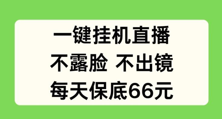 一键挂JI直播，不露脸不出境，每天保底66元【揭秘】-皮皮网创