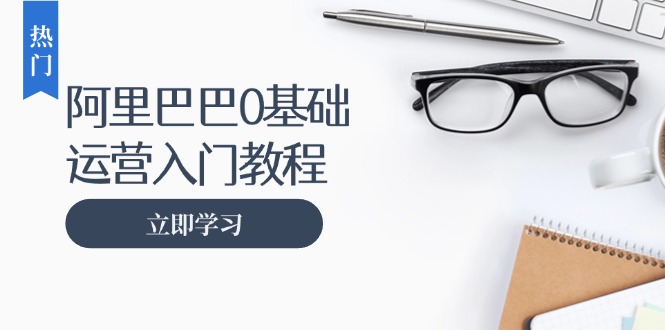阿里巴巴运营零基础入门教程：涵盖开店、运营、推广，快速成为电商高手-皮皮网创
