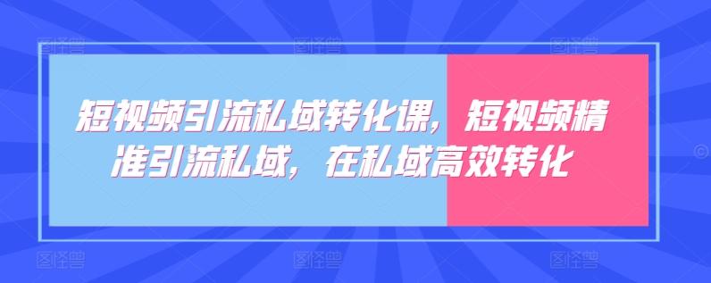 短视频引流私域转化课，短视频精准引流私域，在私域高效转化-皮皮网创