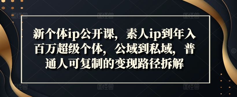 新个体ip公开课，素人ip到年入百万超级个体，公域到私域，普通人可复制的变现路径拆解-皮皮网创