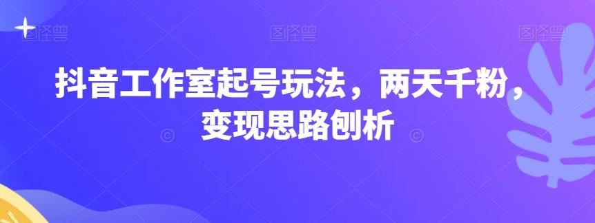抖音工作室起号玩法，两天千粉，变现思路刨析-皮皮网创
