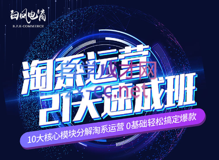 淘系运营21天速成班(更新7月)-皮皮网创