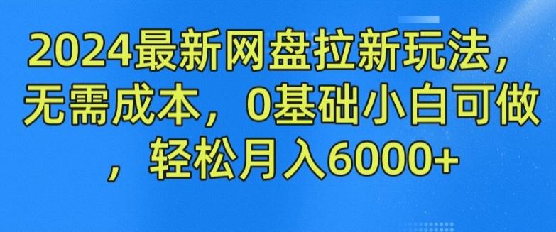 2024最新网盘拉新玩法，无需成本，0基础小白可做，轻松月入6000+【揭秘】-皮皮网创