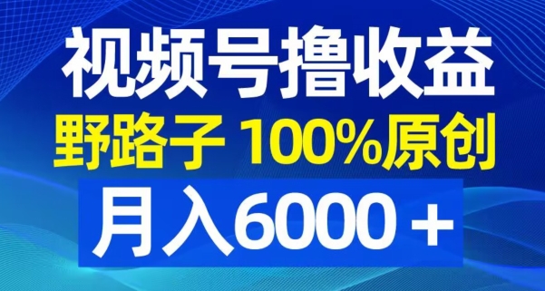 视频号野路子撸收益，100%原创，条条爆款，月入6000＋【揭秘】-皮皮网创