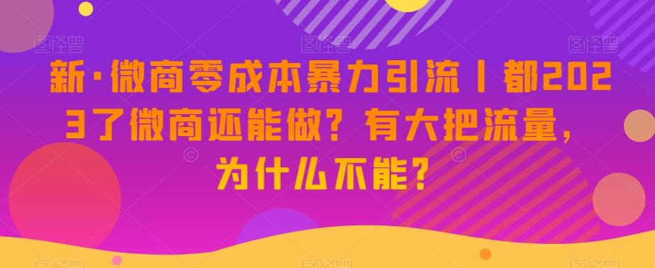 新·微商零成本暴力引流丨都2023了微商还能做？有大把流量，为什么不能？-皮皮网创