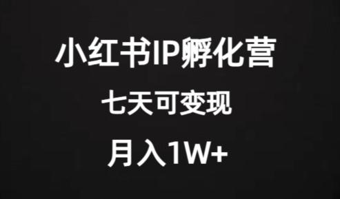 价值2000+的小红书IP孵化营项目，超级大蓝海，七天即可开始变现，稳定月入1W+-皮皮网创