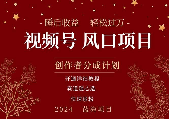 拥有睡眠收益的微信视频号大风口项目，轻松月入过万+，多赛道选择，可…-皮皮网创
