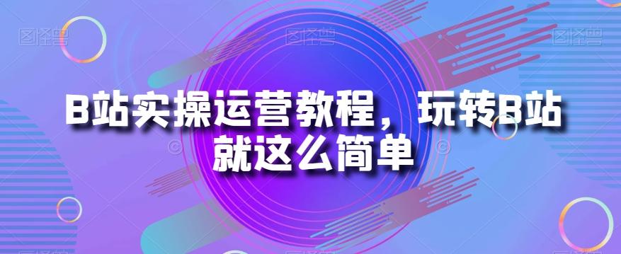 B站实操运营教程，玩转B站就这么简单-皮皮网创