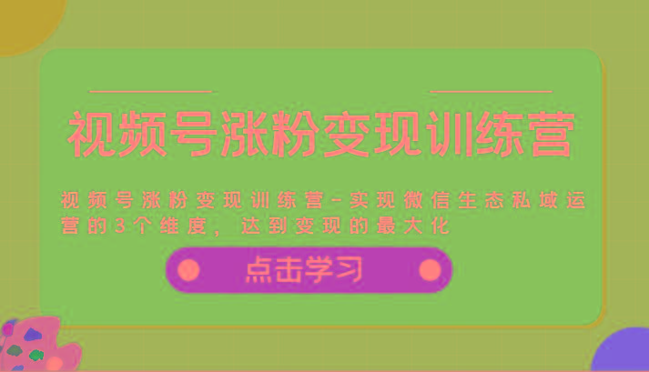 视频号涨粉变现训练营-实现微信生态私域运营的3个维度，达到变现的最大化-皮皮网创
