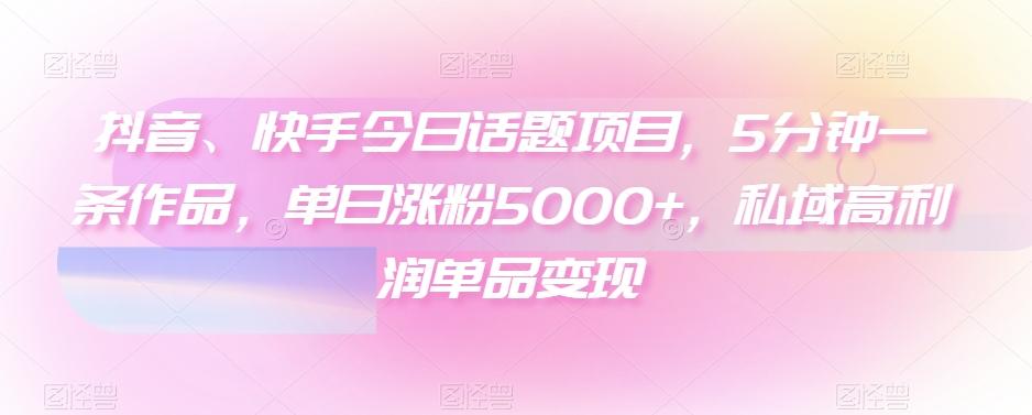 抖音、快手今日话题项目，5分钟一条作品，单日涨粉5000+，私域高利润单品变现-皮皮网创