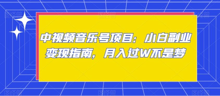 中视频音乐号项目：小白副业变现指南，月入过W不是梦【揭秘】-皮皮网创