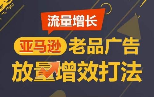 流量增长 亚马逊老品广告放量增效打法，短期内广告销量翻倍-皮皮网创