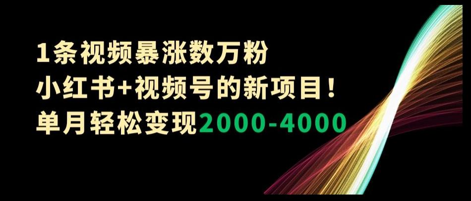 1条视频暴涨数万粉–小红书+视频号的新项目！单月轻松变现2000-4000【揭秘】-皮皮网创