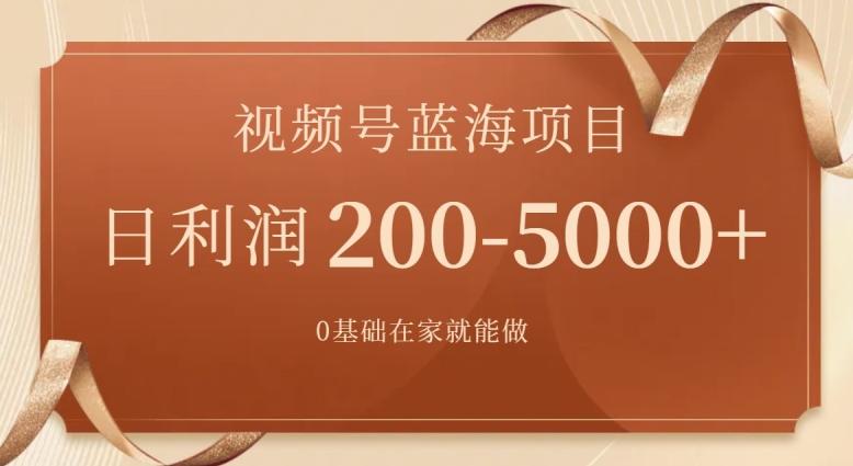 外边收费699视频号项目，最新玩法，简单好操作，一人可做，日四位数-皮皮网创