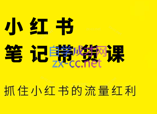 张宾·小红书笔记带货课(更新9月)-皮皮网创