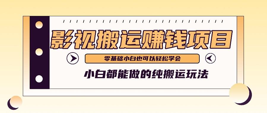 手把手教你操作影视搬运项目，小白都能做零基础也能赚钱-皮皮网创