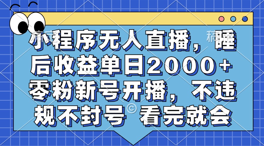 小程序无人直播，睡后收益单日2000+ 零粉新号开播，不违规不封号 看完就会-皮皮网创